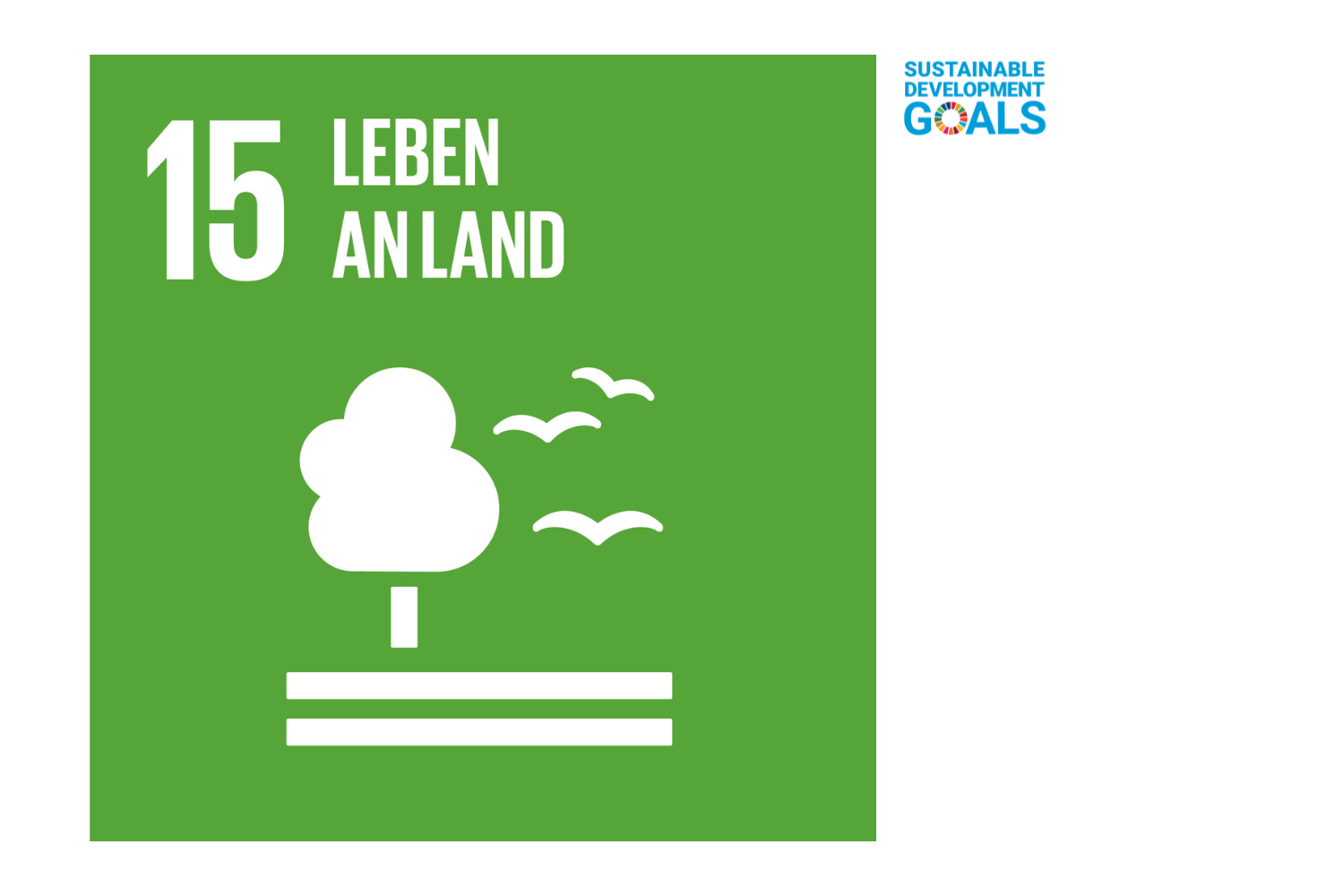 Leben an Land - SDG15