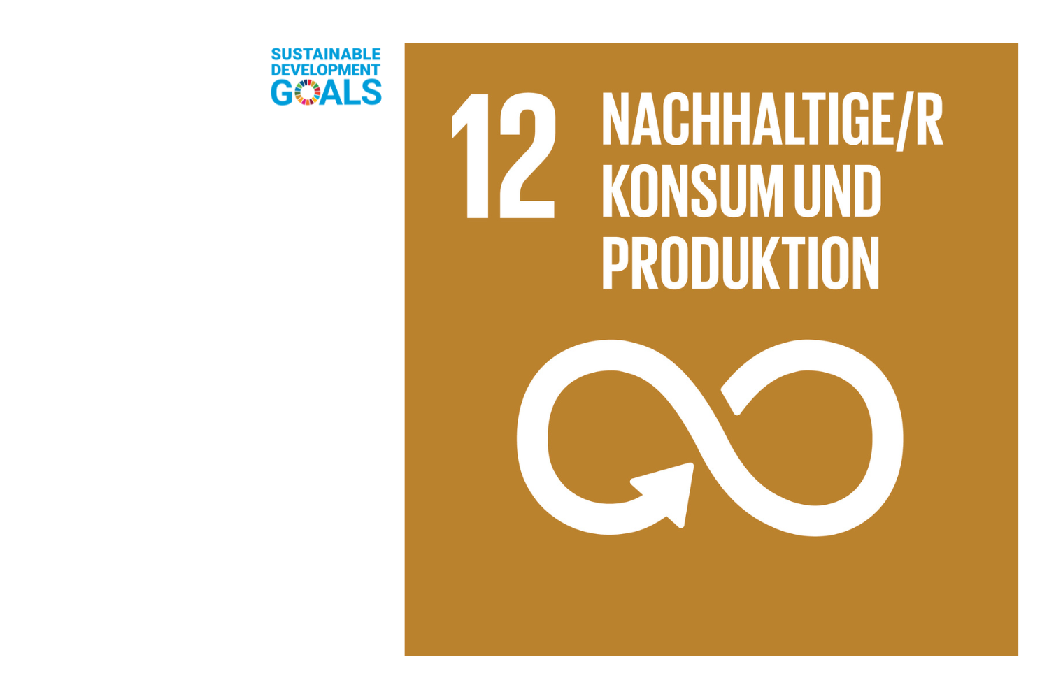 Nachhaltiger Konsum und Produktion - SDG 12