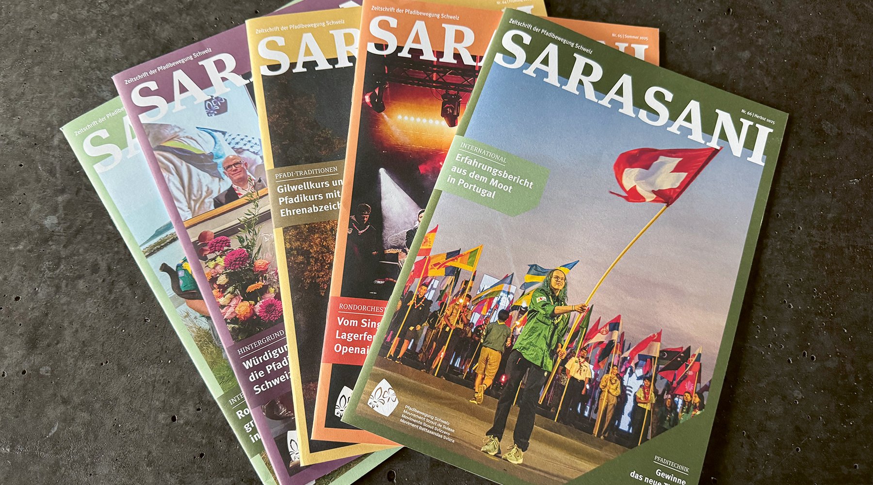 Una persona legge il SARASANI