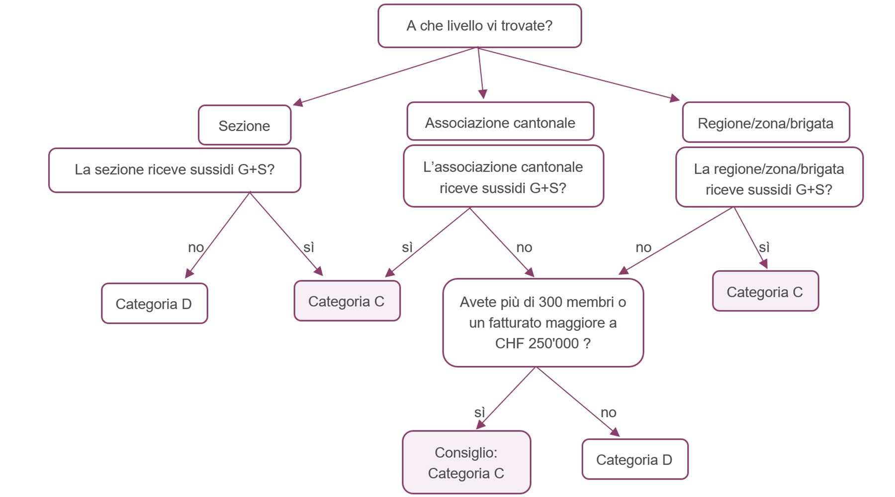 Chi deve fare cosa per soddisfare il nuovio standard di settore di Swiss Olympic? Questo albero decisionale può aiutarvi.